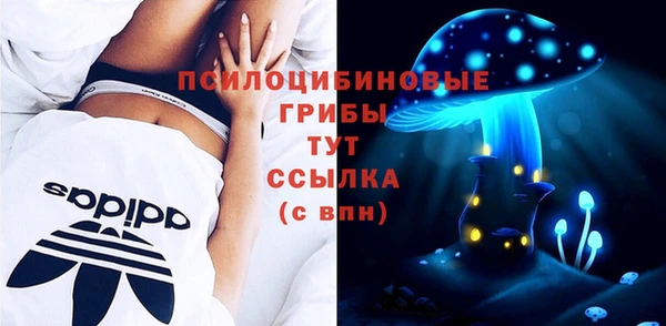 ALPHA PVP Алзамай