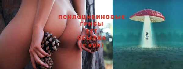 шишки Алексин