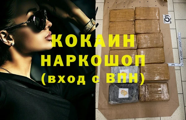 шишки Алексин