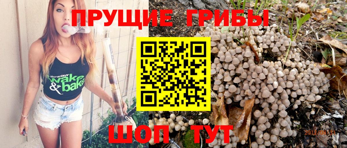 Псилоцибиновые грибы MAGIC MUSHROOMS  Вход с VPN  Джанкой 