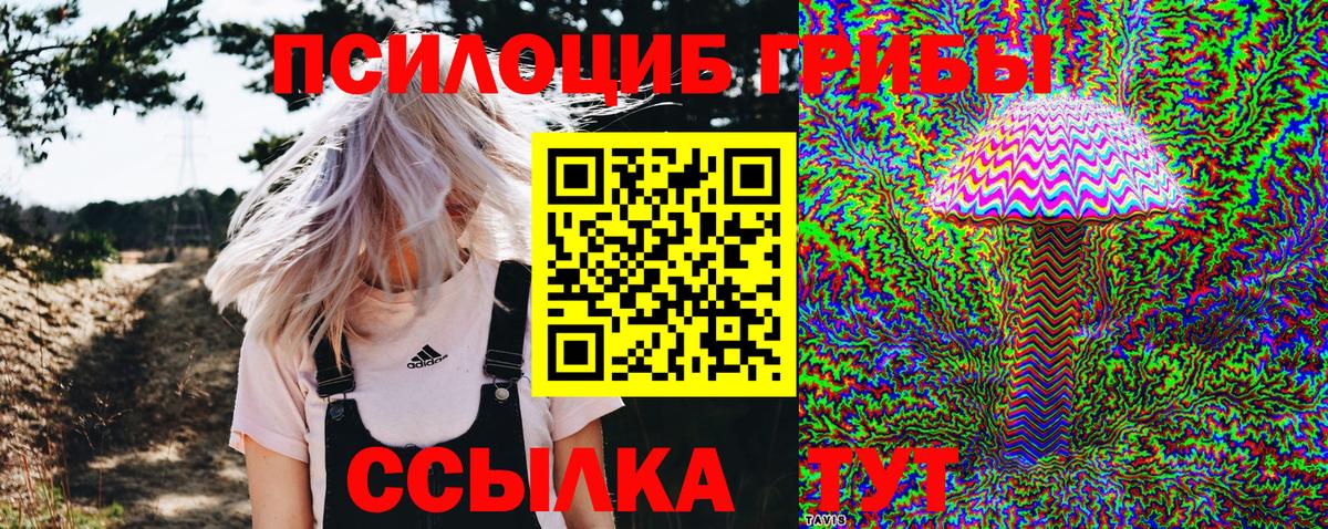 Галлюциногенные грибы GOLDEN TEACHER Джанкой
